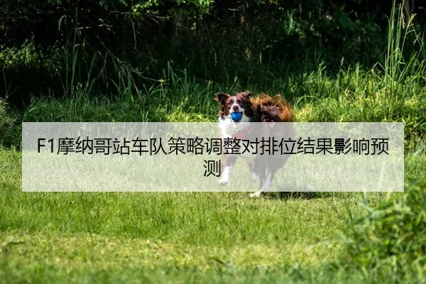 F1摩纳哥站车队策略调整对排位结果影响预测